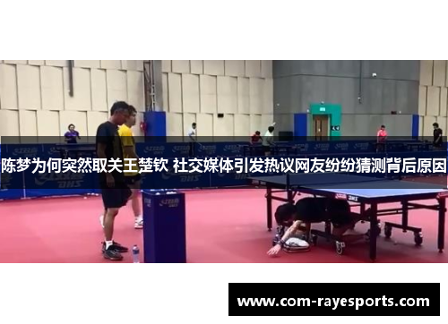 陈梦为何突然取关王楚钦 社交媒体引发热议网友纷纷猜测背后原因 陈梦为何突然取关王楚钦 社交媒体引发热议网友纷纷猜测背后原因