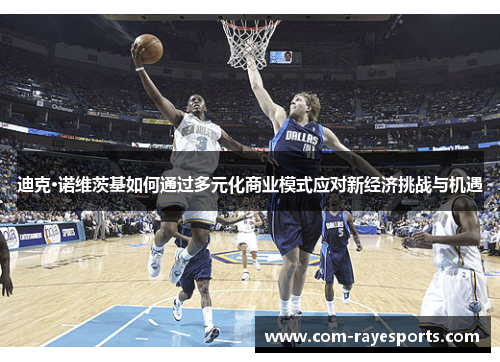 迪克·诺维茨基如何通过多元化商业模式应对新经济挑战与机遇