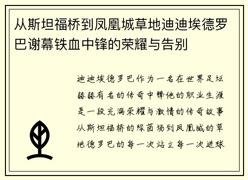 从斯坦福桥到凤凰城草地迪迪埃德罗巴谢幕铁血中锋的荣耀与告别
